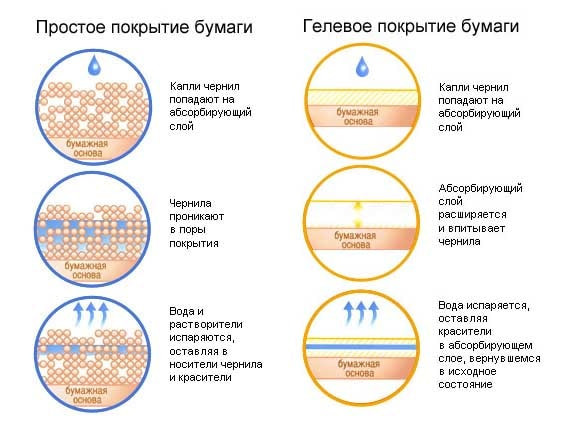 Типы покрытия бумаги и их влияние на качество печатаемого фото